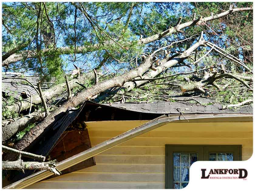Lankford Roofing photo 237